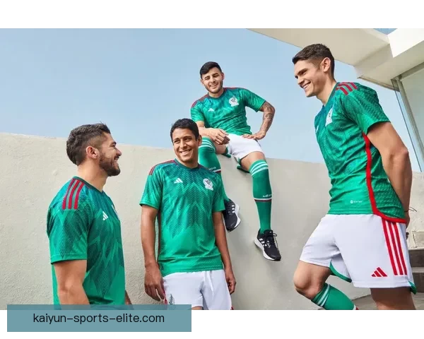 加拿大足协呼吁本国意大利球迷换球衣不要再等四年支持球队